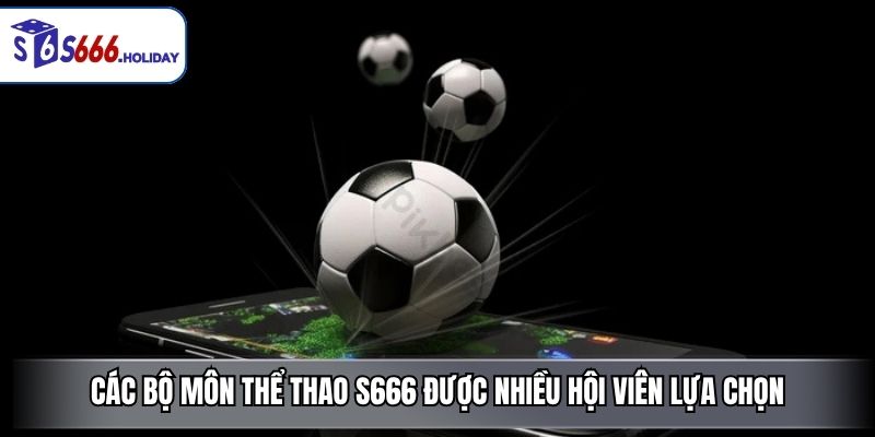 Thể Thao S666 – Sảnh Cược Đỉnh Cao Với Tỷ Lệ Kèo Hấp Dẫn - playzen88